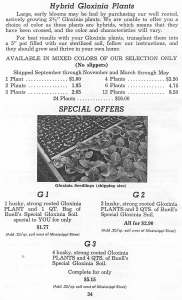 Buells AV Gloxis and Gesssies Catalog 1959-1960_Page_35
